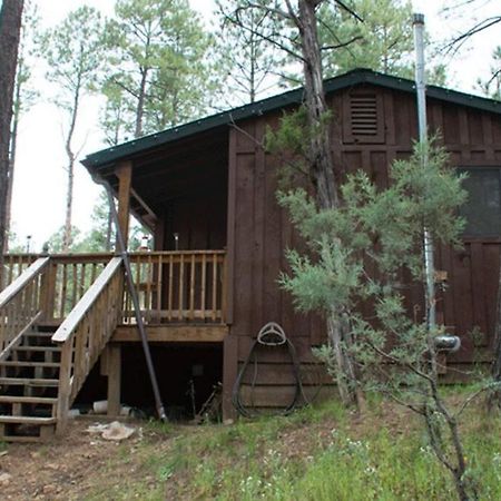 Beary Comfy Cabin Ruidoso Eksteriør billede